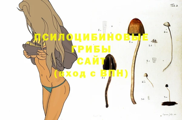 PSILOCYBIN Белоозёрский